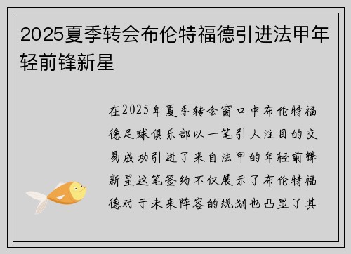 2025夏季转会布伦特福德引进法甲年轻前锋新星